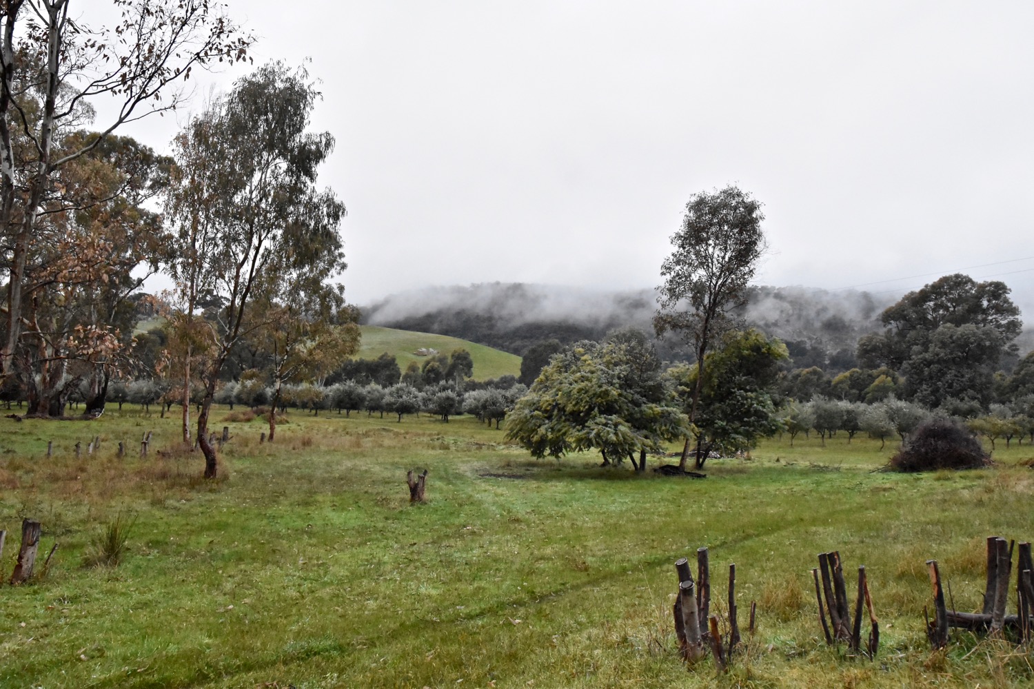 DSC_2301.jpg