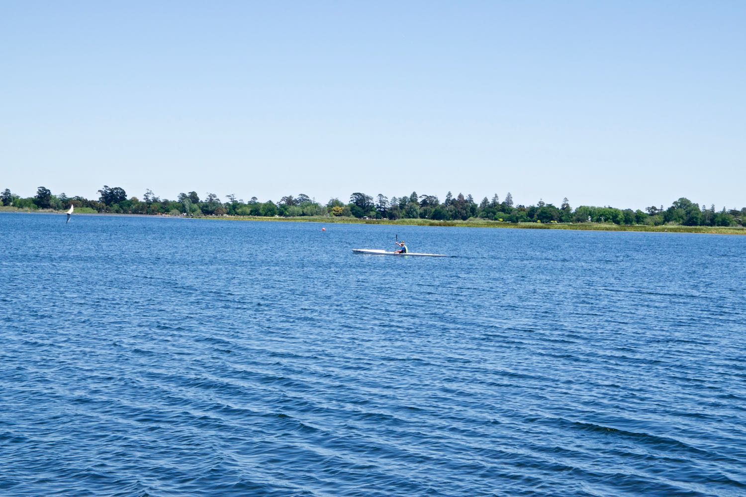 DSC_0289.jpg