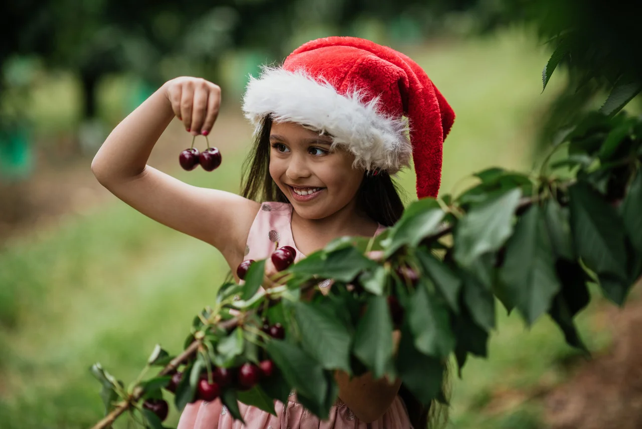 Celebrate the Victorian Cherry Season