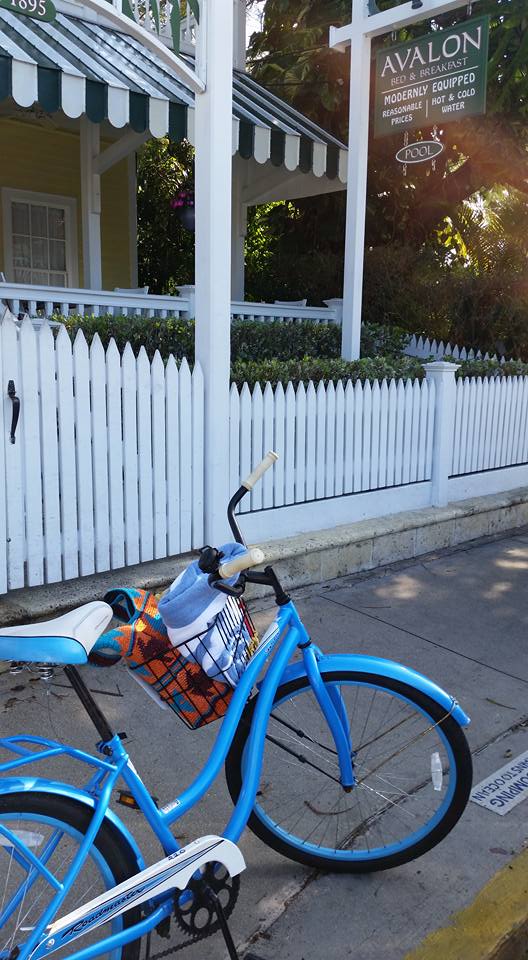 The crummy Key West rental bike that helped awaken me to change.