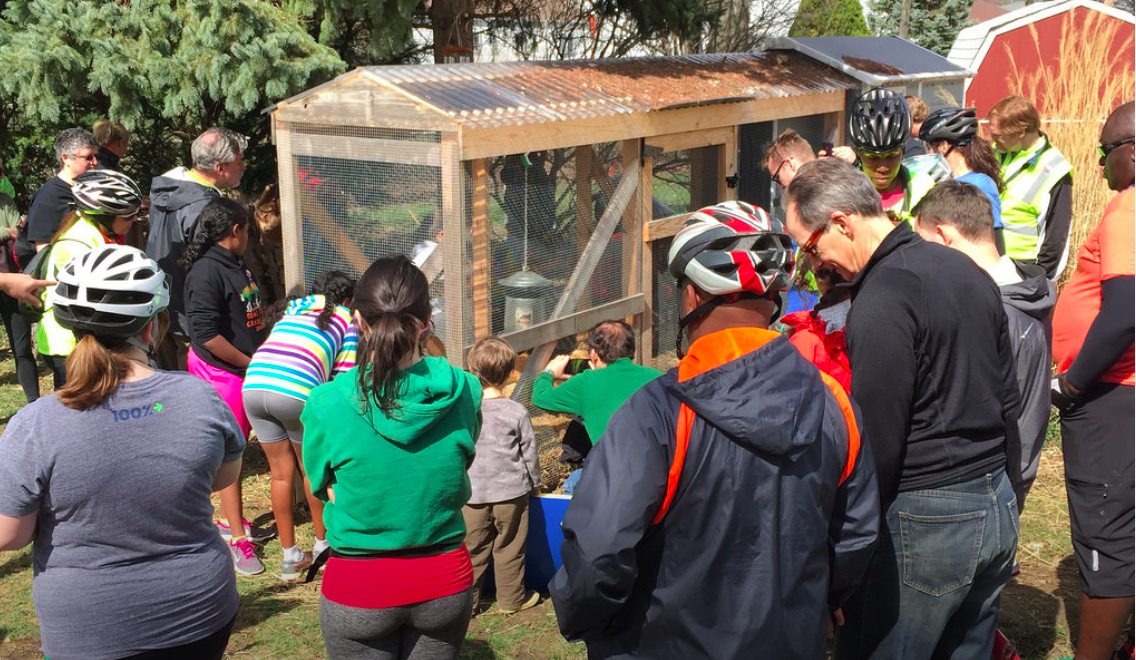 Riders explore chicken coops at a home in North Columbus. Photo credit: Ray George