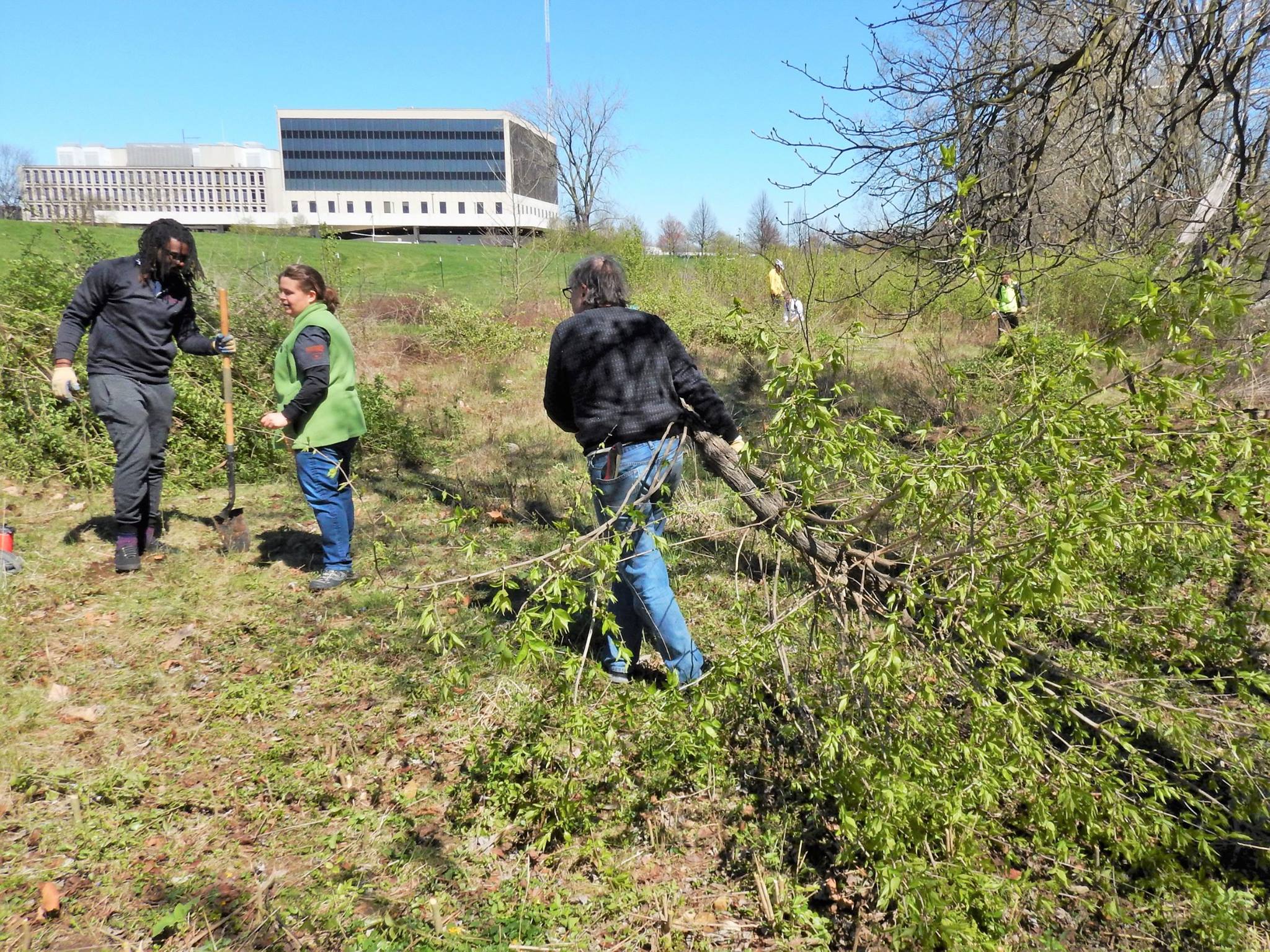 ...a LOT of invasive plants! Photo credit: Keith 'Lugs' Mayton