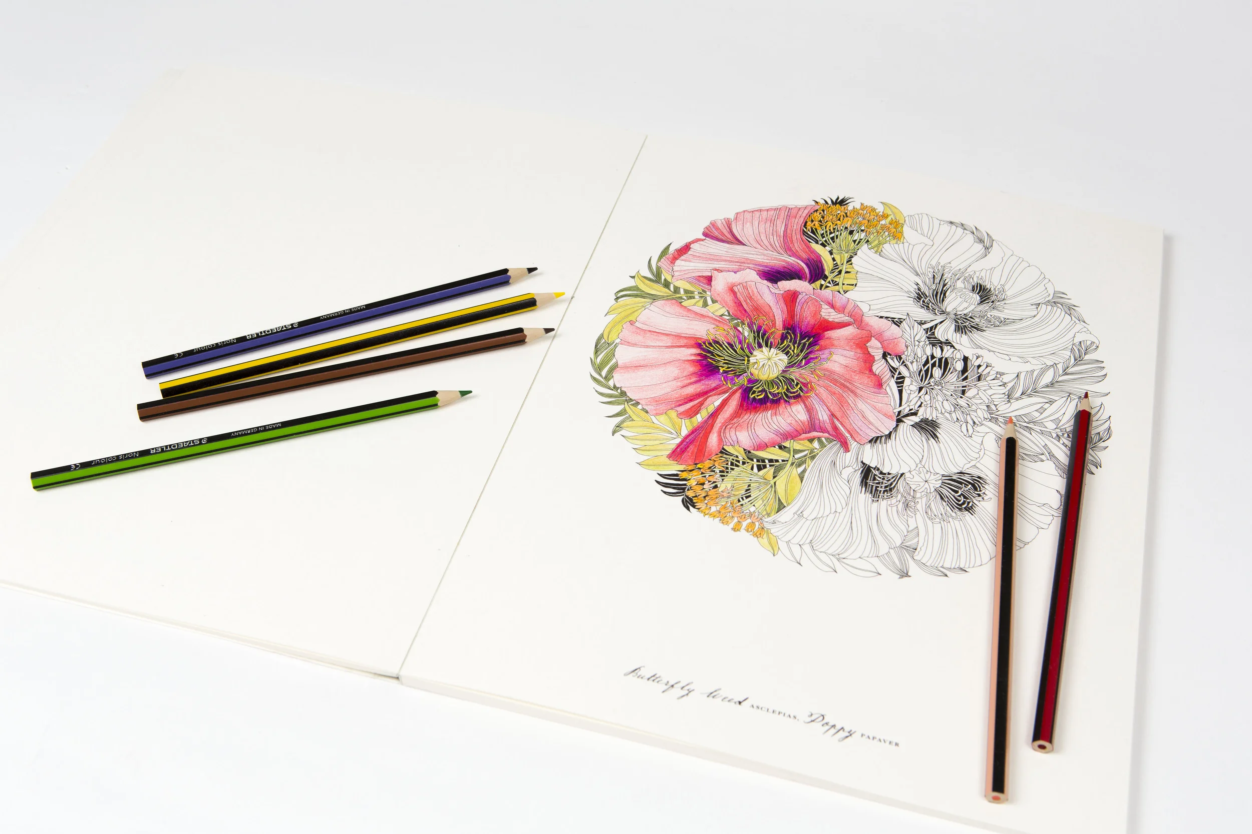 Floribunda_Pencils5.JPG