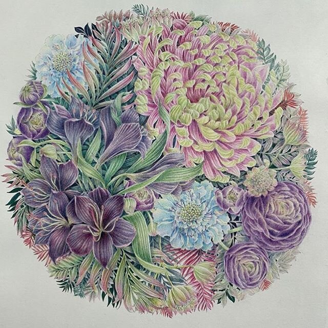 @koma.colorful ❤️💜💙 wow! Stunning colouring of my chrysanthemum download 🙌🏻🙌🏻🙌🏻 www.leiladuly.com for your own copy to colour