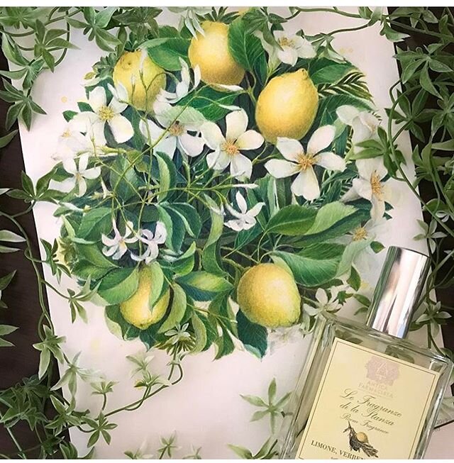 Such incredible colour today by @azusa.chai 🍋🍋🍋
This illustration was drawn in Mallorca late last Summer - Lemons, Oleander &amp; Jasmine
Www.leiladuly.com to download xxxx 🙌🏻