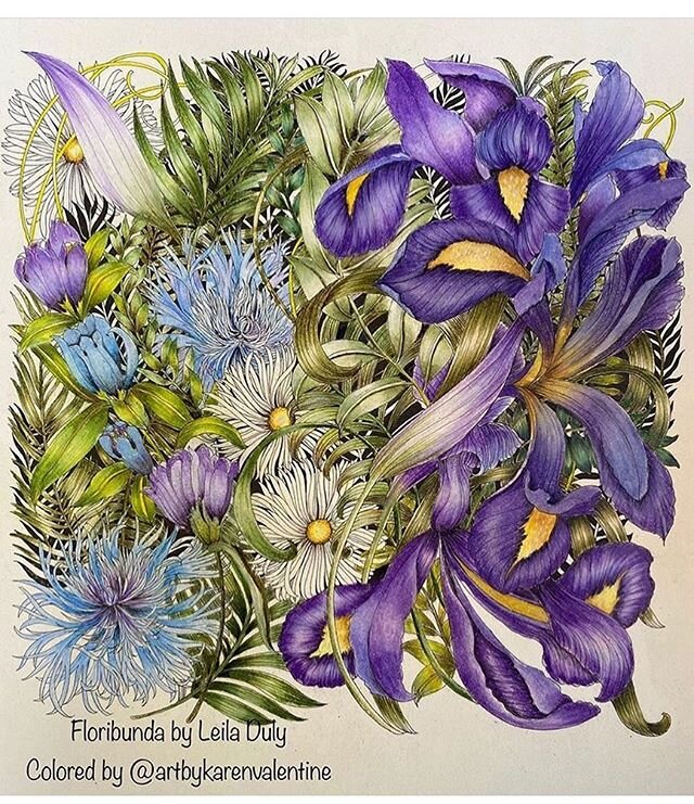 Wow- stunning Iris! Coloured by @artbykarenvalentine from Floribunda 🖤