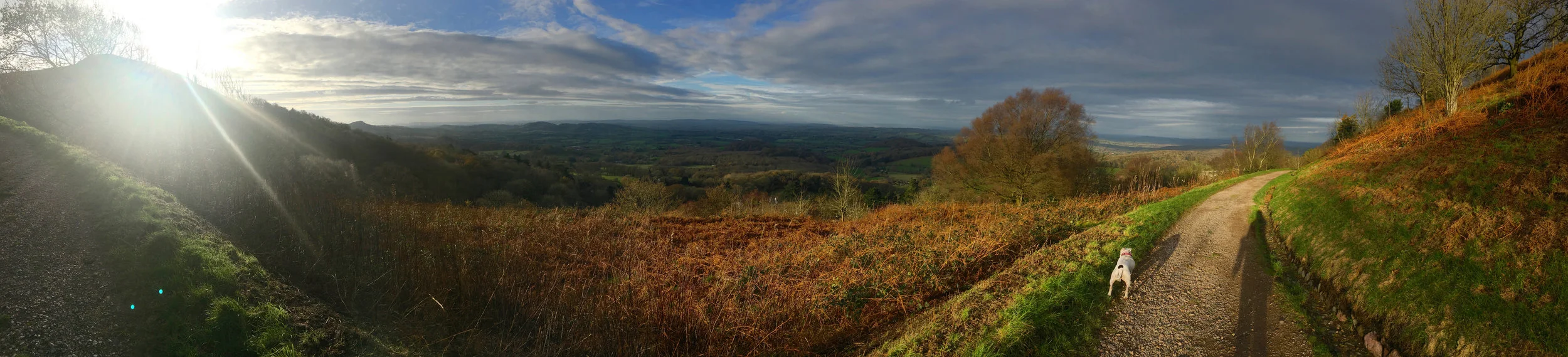 Panorama from Sugar Loaf Hill