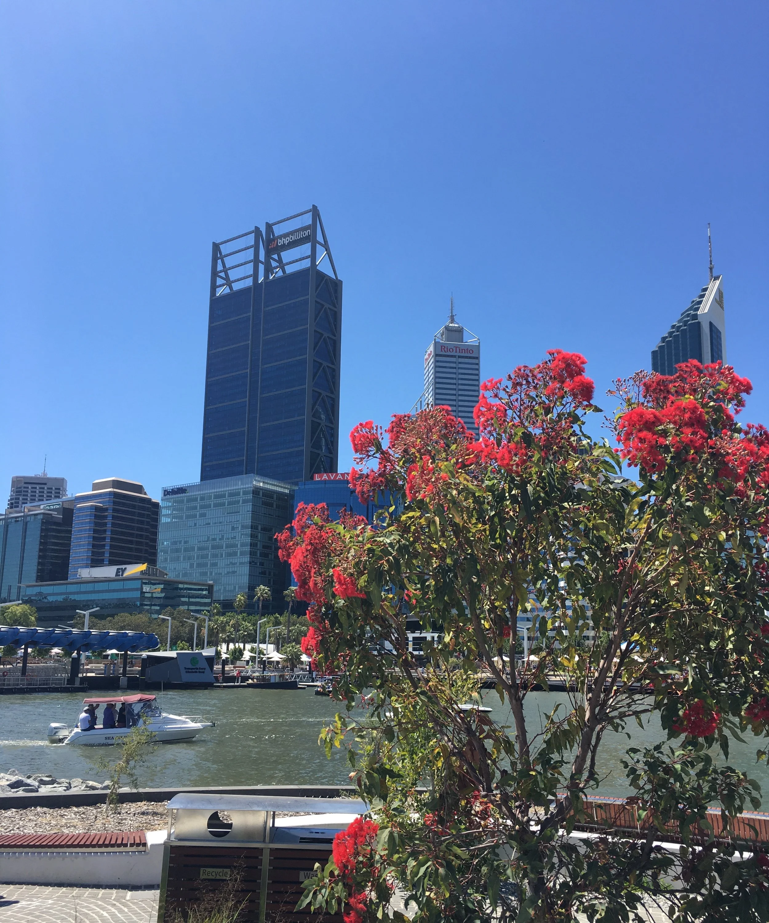 South Perth