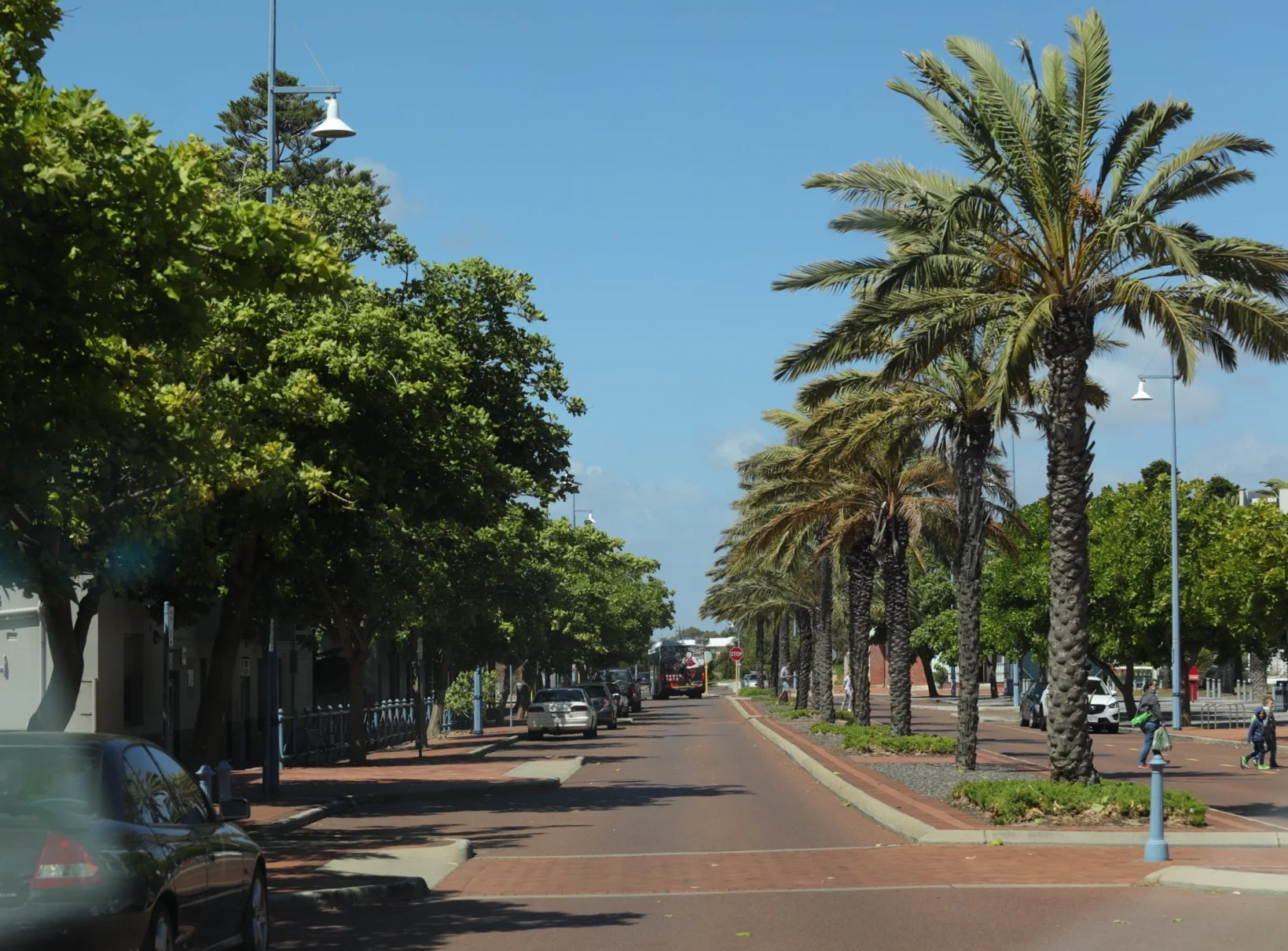 Treelined street, Rockingham