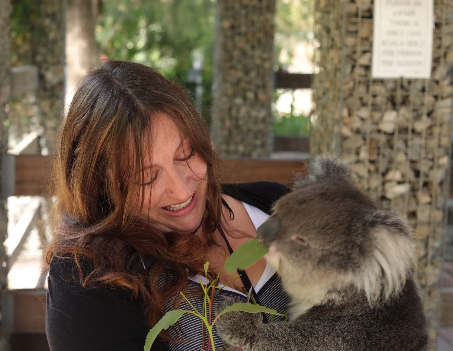 Cuddling Bella the koala :)