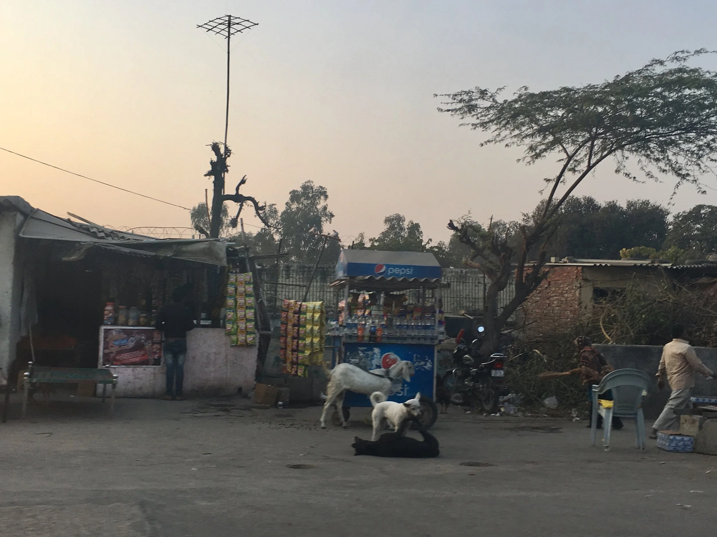 Mehta Nagar East