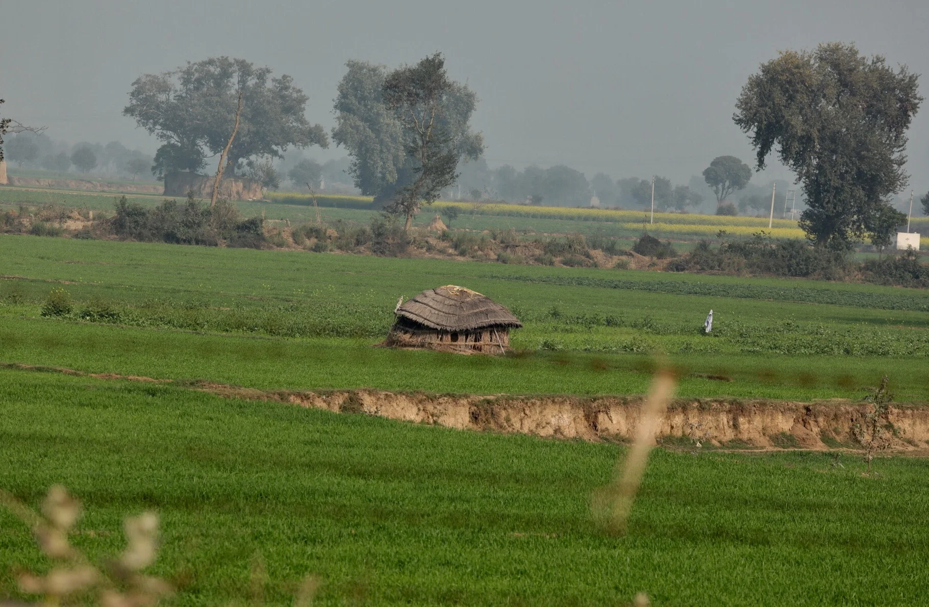 Mr Singh informed us that the huts are storage for 'the cow shits' where they are eventually turned to fuel.