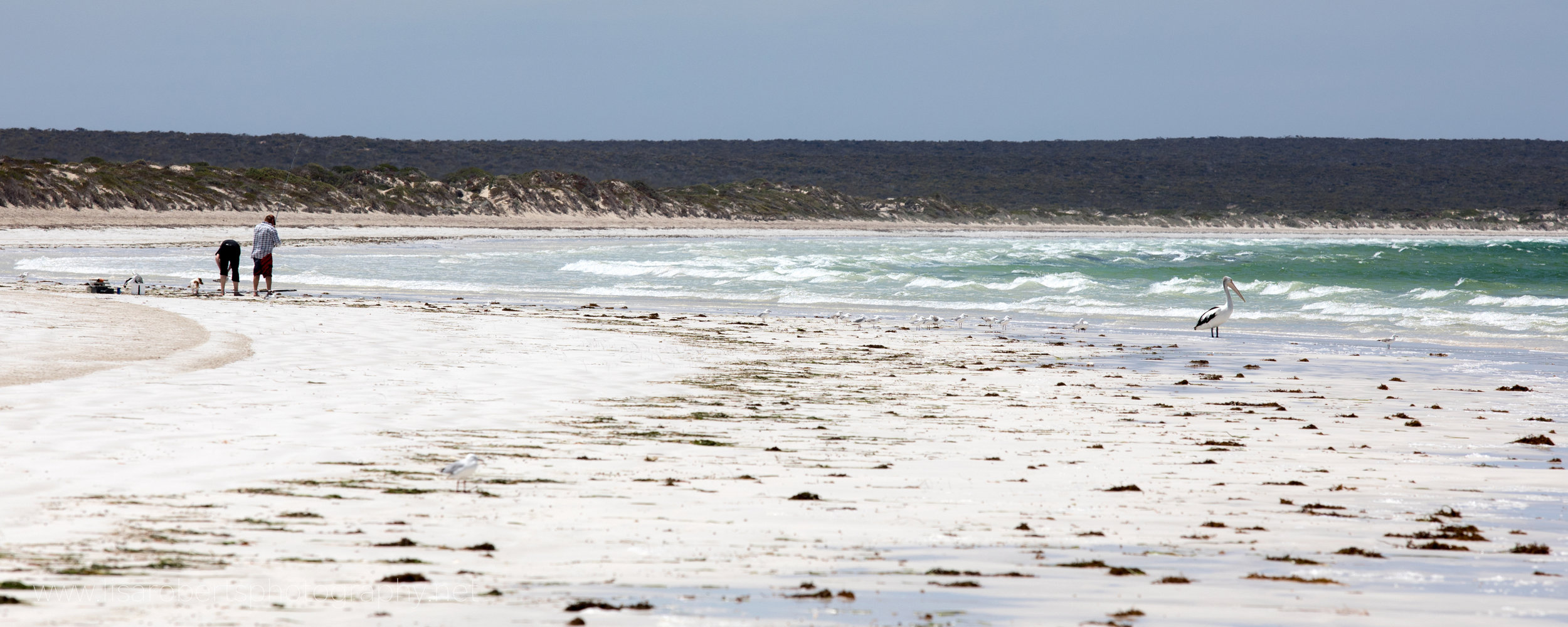  Fowlers bay, South Australia 