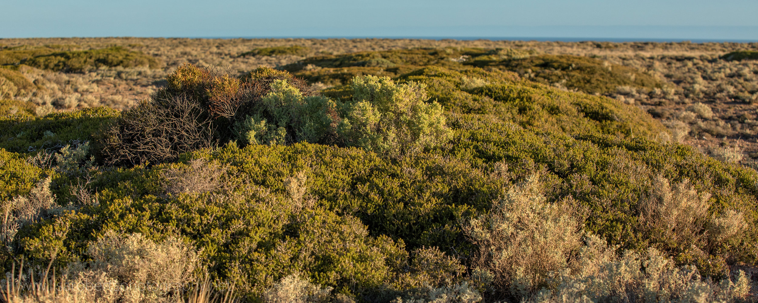  Desert View, South Australia 