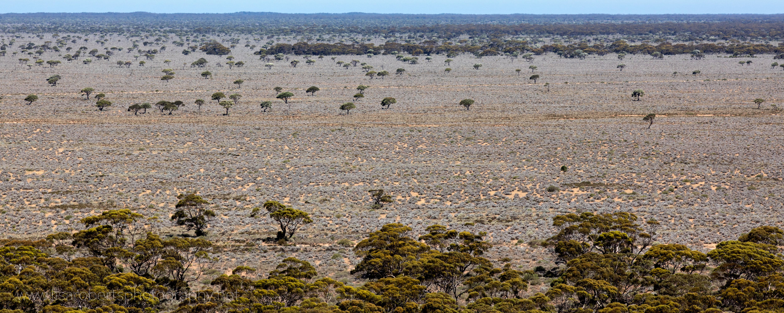  Madura, Western Australia 