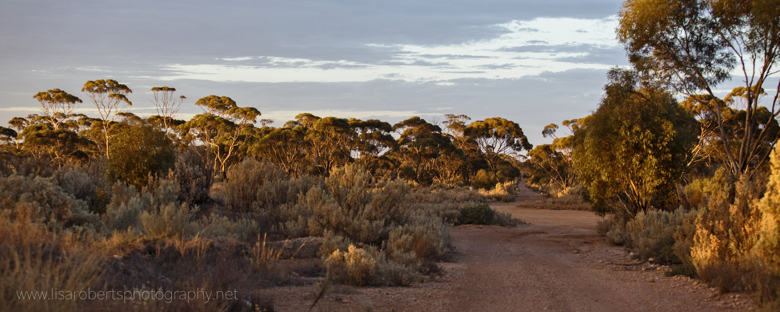  Balladonia Roadhouse, Western Australia 