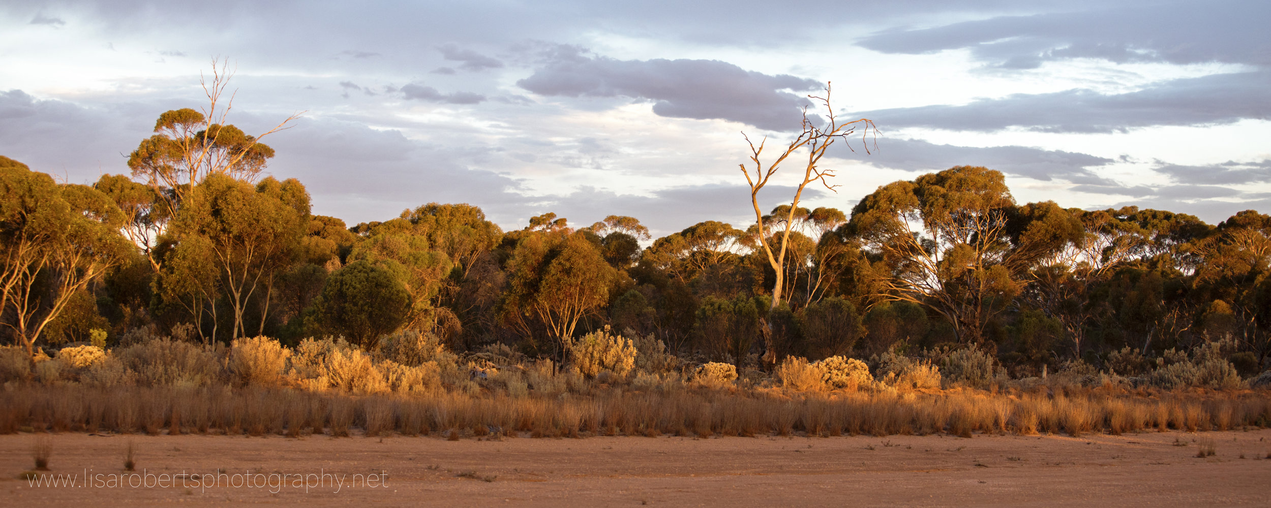  Sunset from the Balladonia roadhouse, Western Australia 