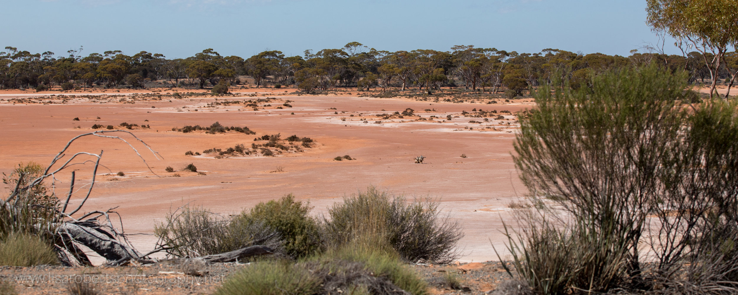  Red soil, Western Australia 