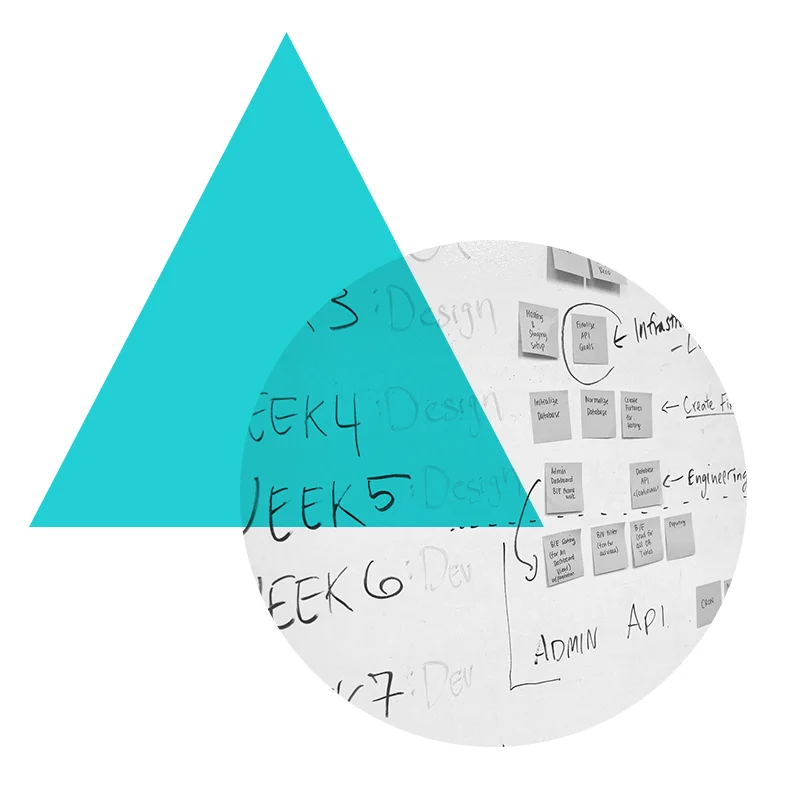 program_management.png