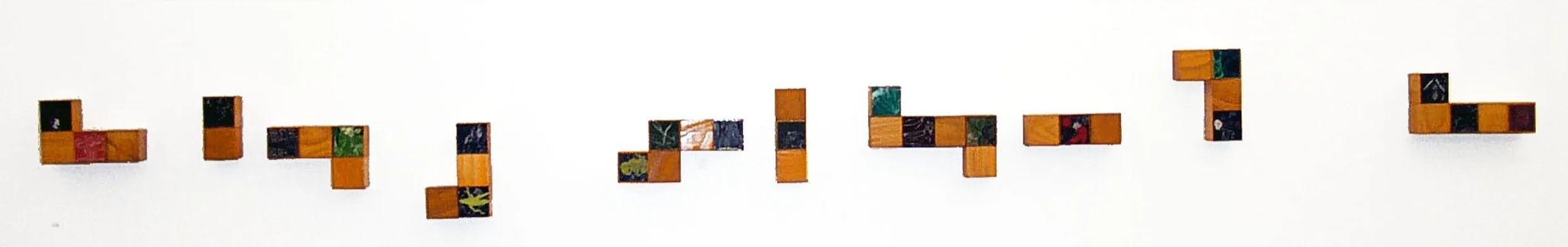 My Life as an Insect