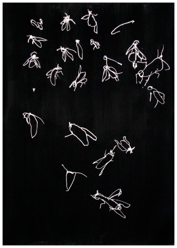 Seismography # 19