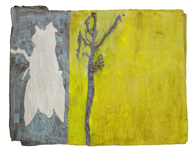 Grey and yellow