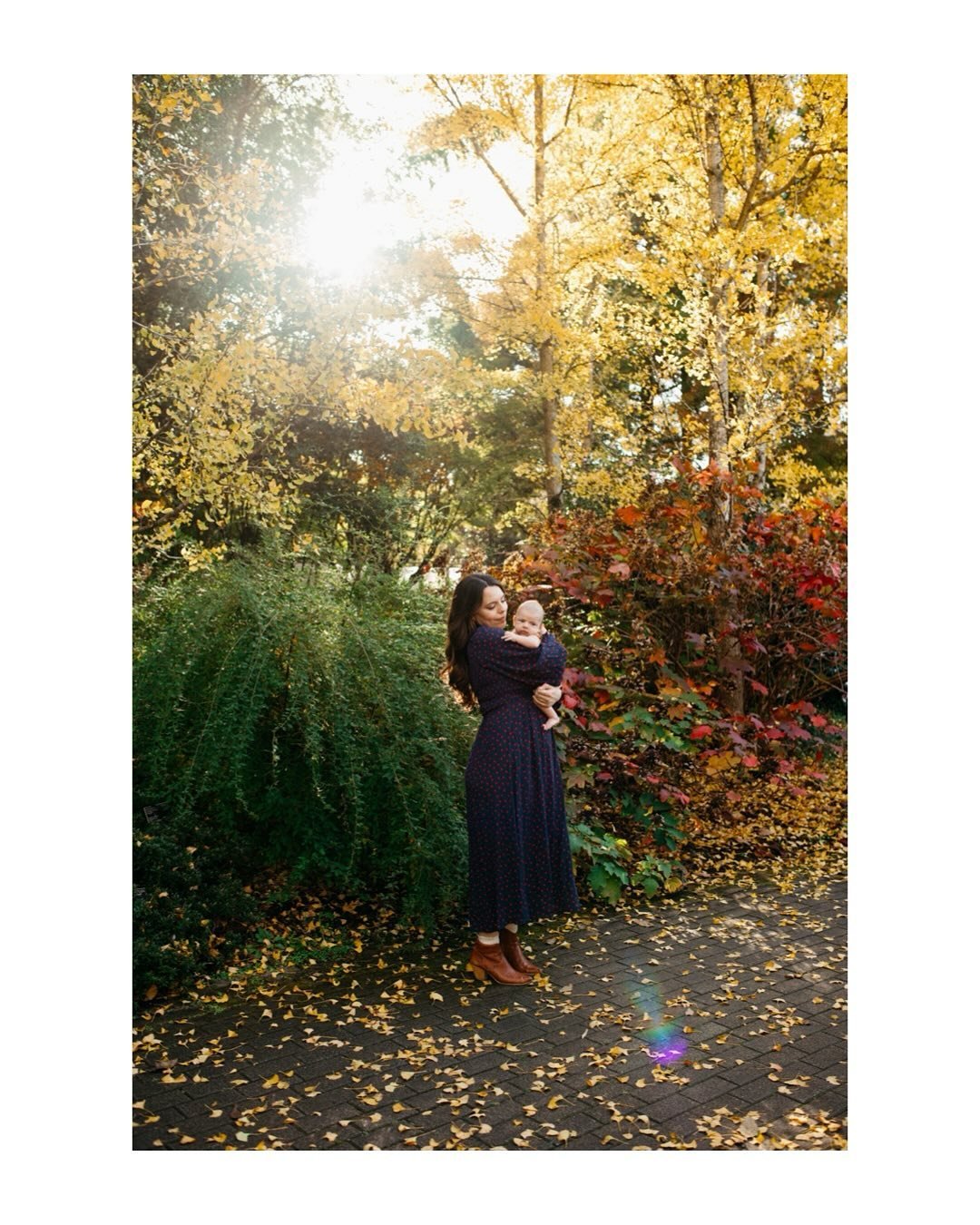 When the light and colors and people all come together in the most magical way :: just a few from a beautiful afternoon with this dear family ✨💛

I took the last several weeks off Instagram, but here I am! Working away and deep in my editing queue. 