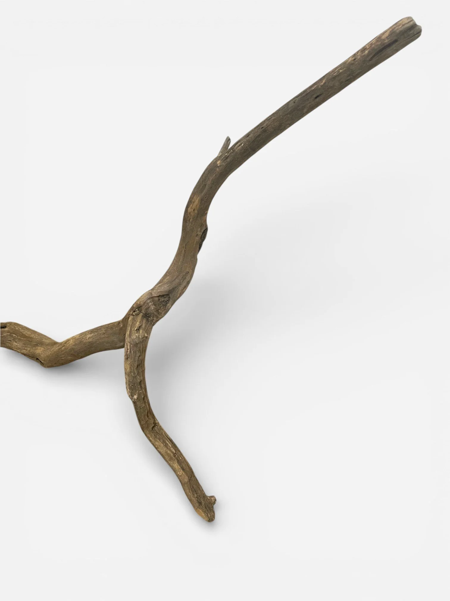 IMG_2622-Photoroom.jpg (Copy)