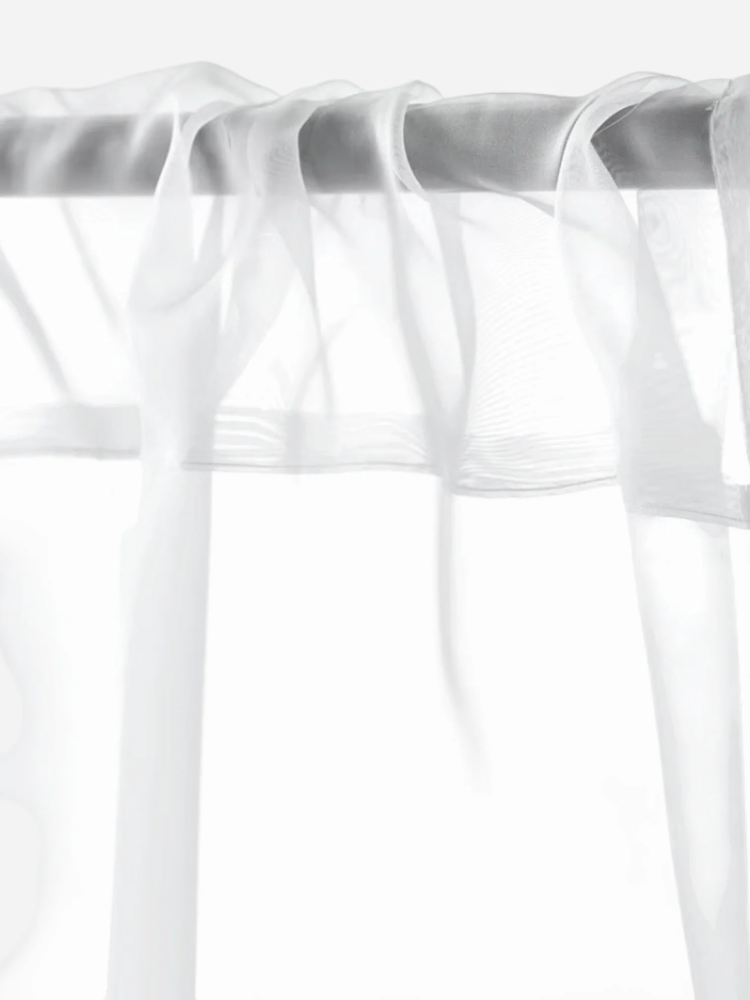 Screenshot 2026-03-03 at 4.42.13 PM-Photoroom.jpg