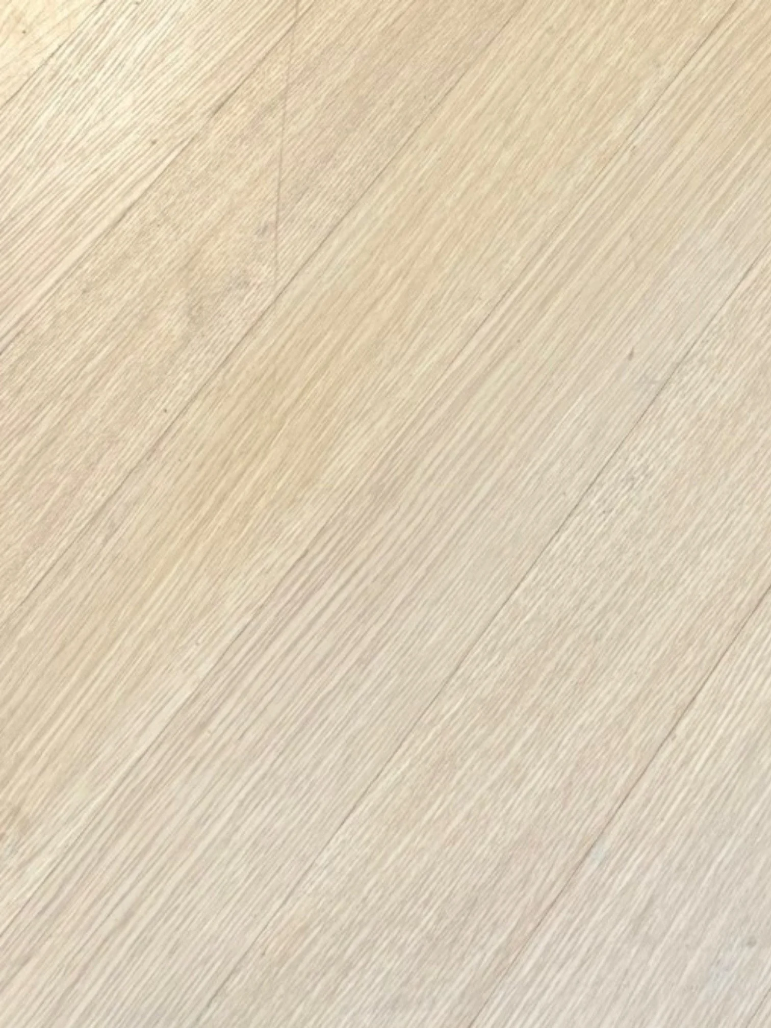 IMG_7262-Photoroom.jpg (Copy)