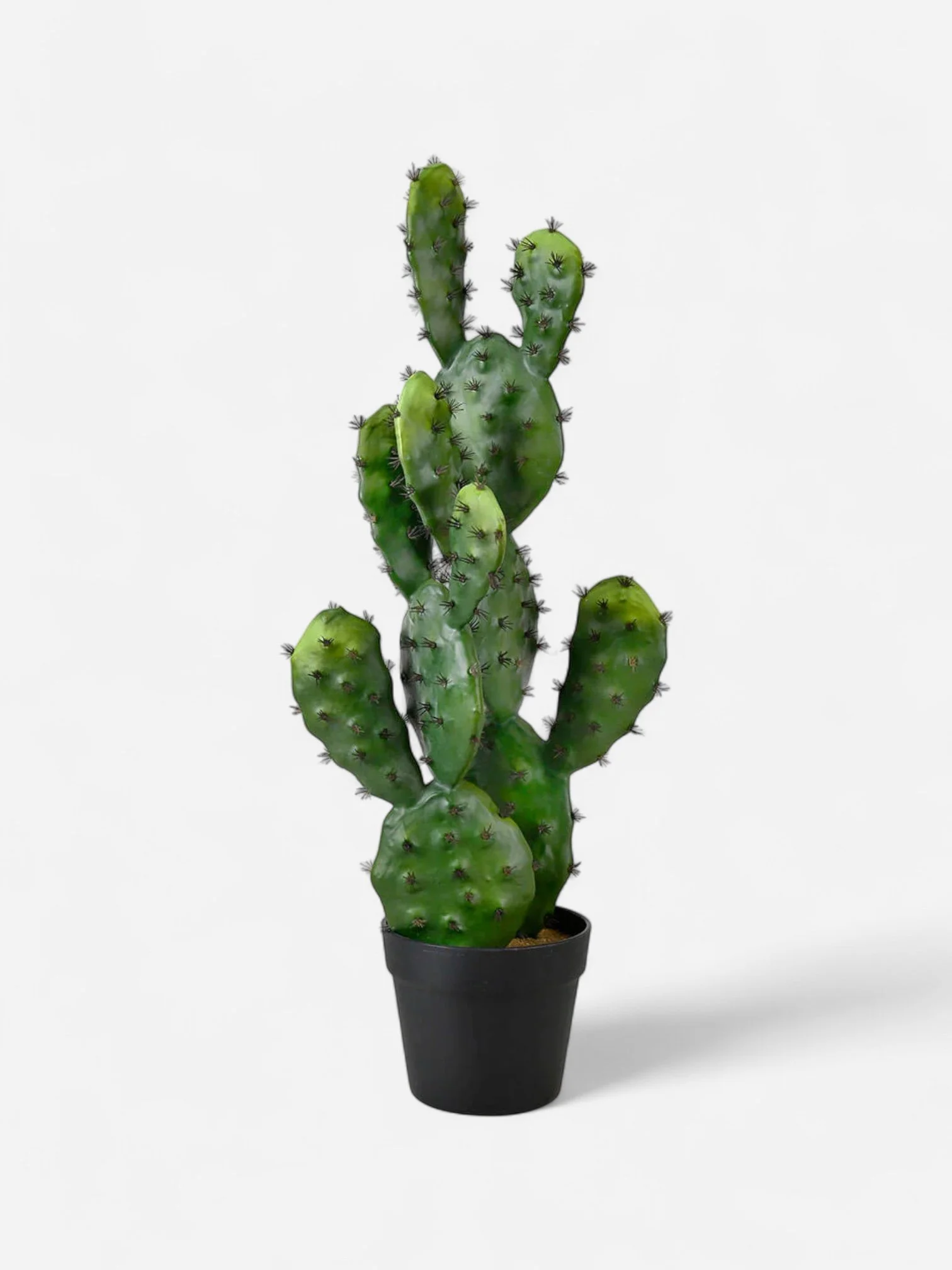 fake-prickly-pear-cactus-plant_CH06719807_mag_740N_View.jpg-Photoroom.jpg (Copy)