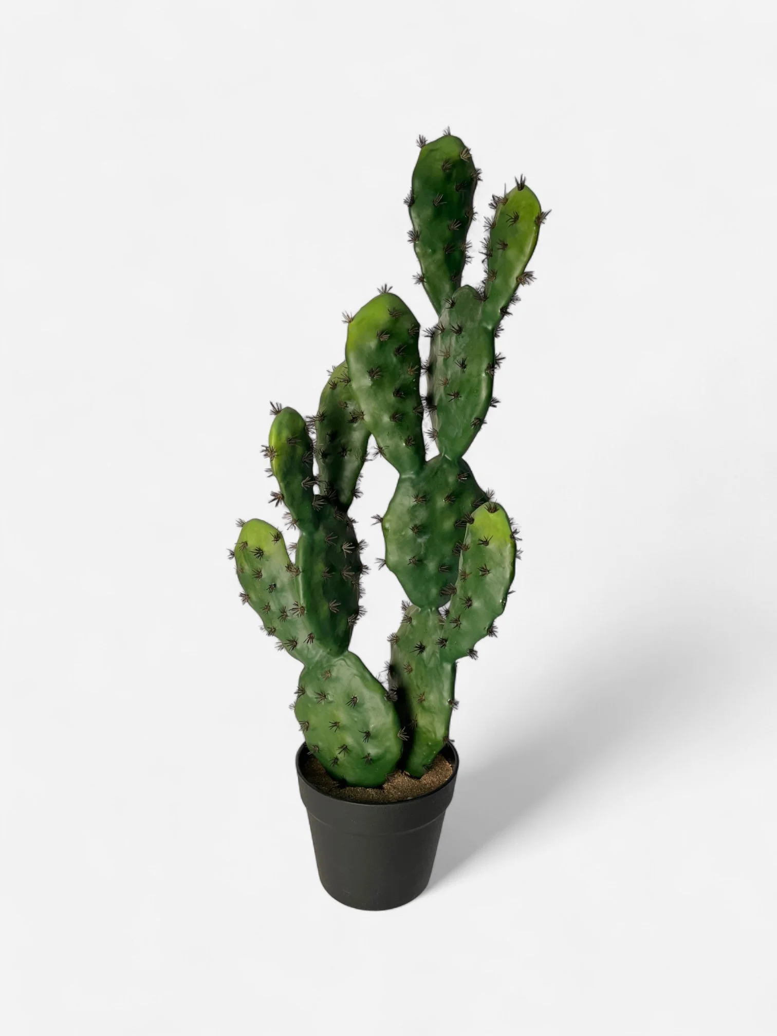 IMG_1030-Photoroom.jpg (Copy)