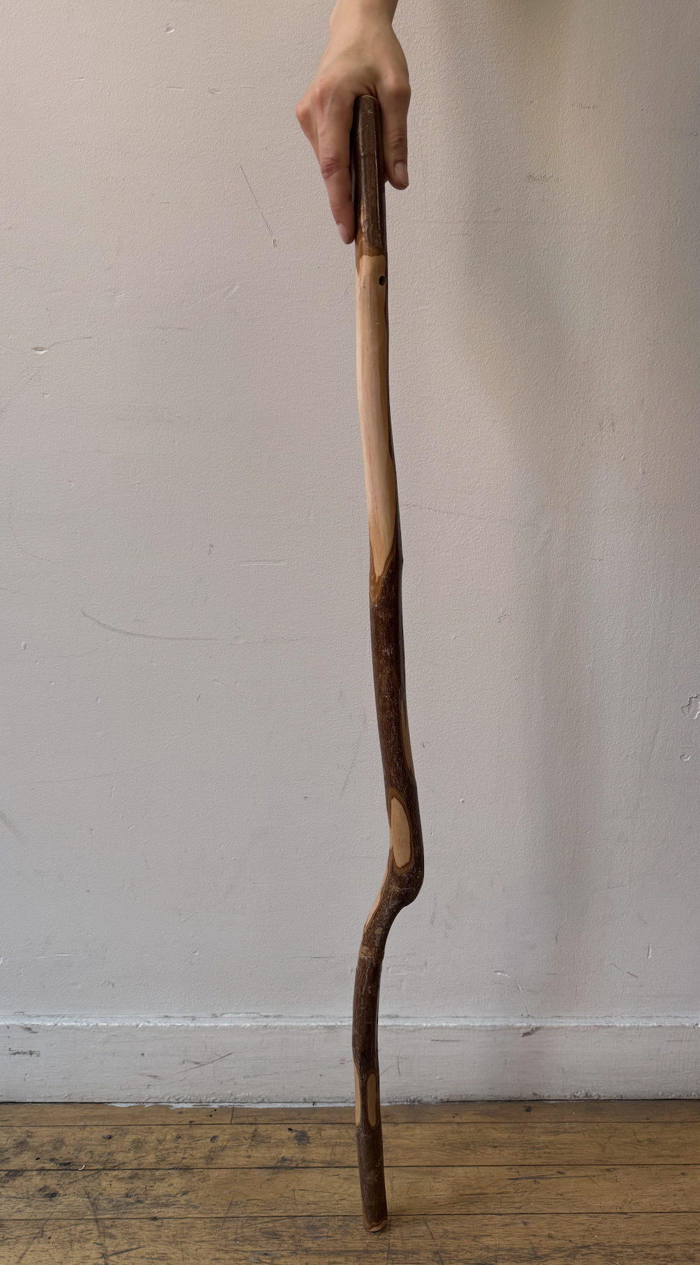 Natural Wood Cane 2