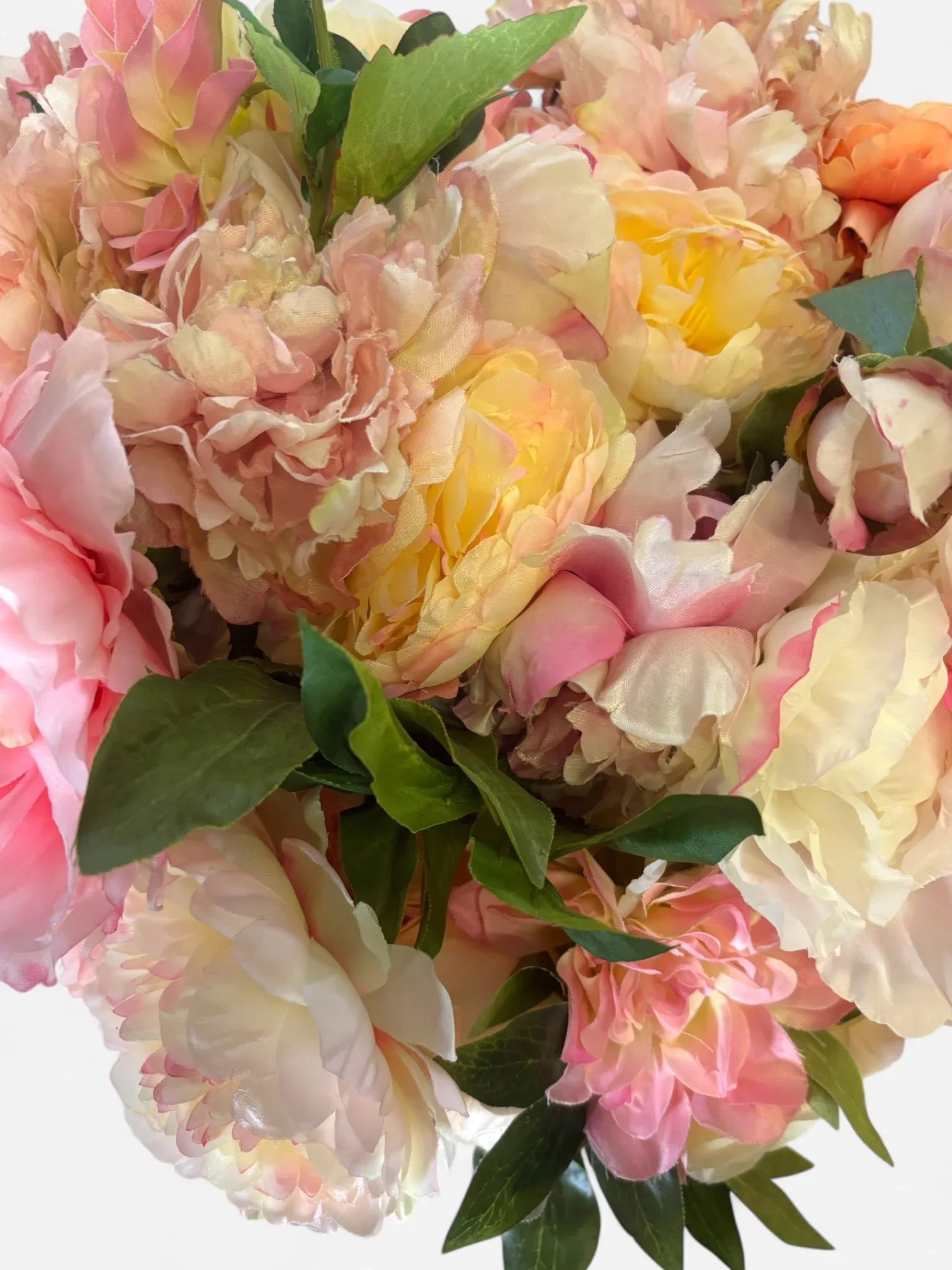 IMG_6820-Photoroom.jpg.webp (Copy)