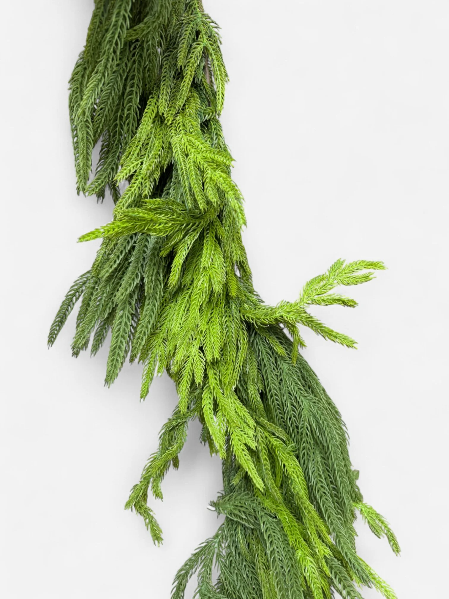 IMG_9972-Photoroom.jpg (Copy)