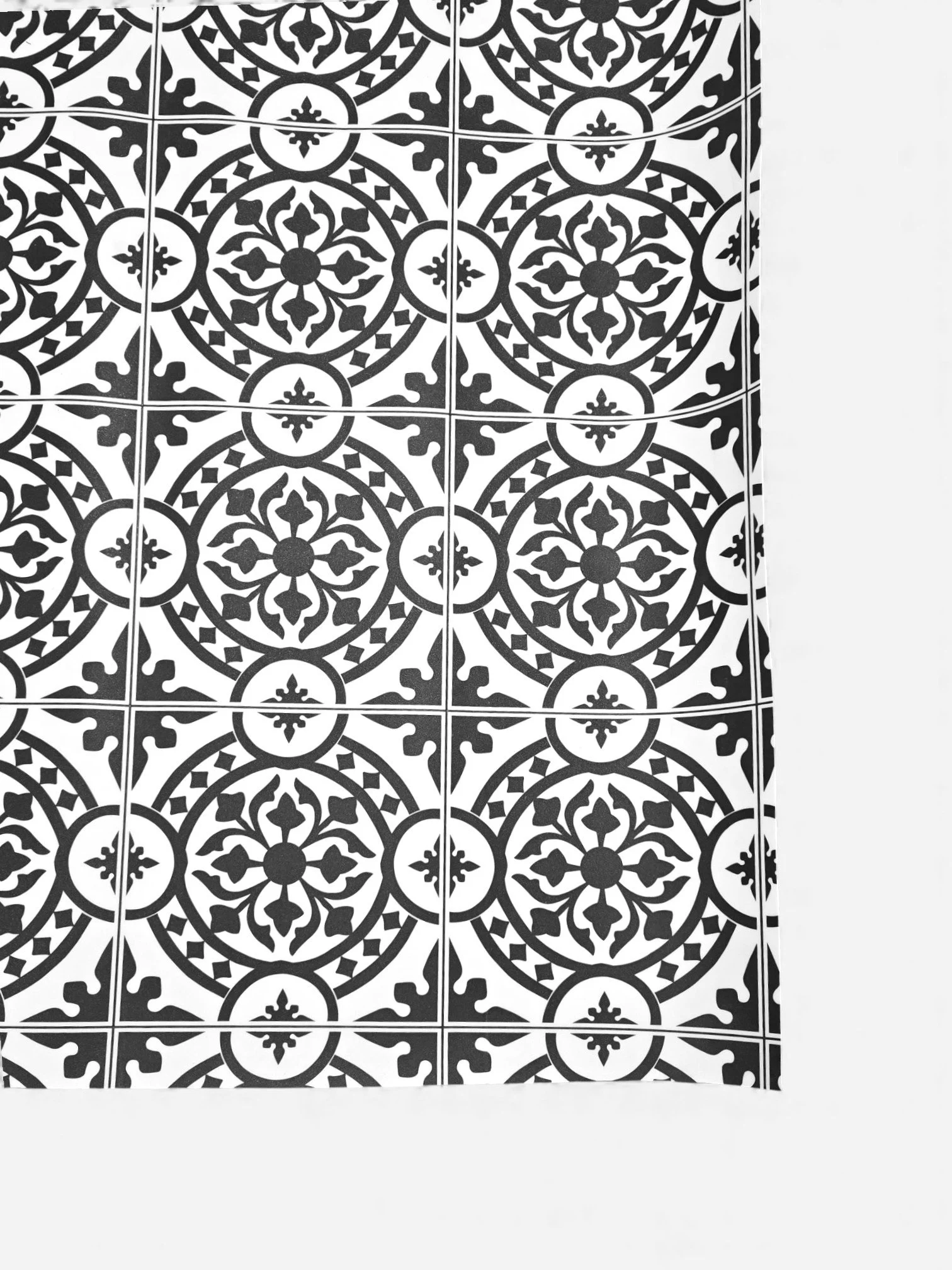 2491576569942995775.jpg (Copy)