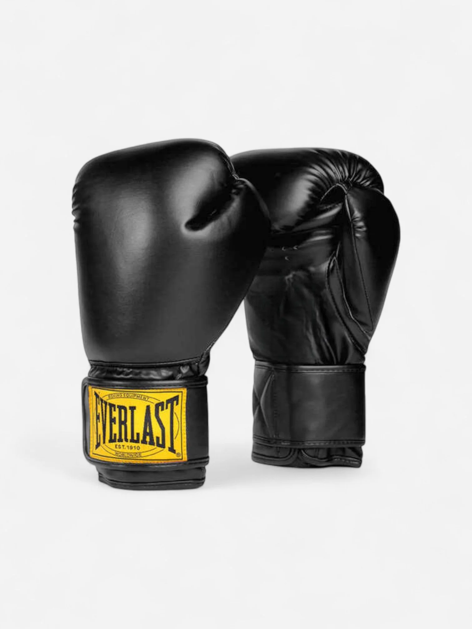 Total-Sports-Everlast-1910-Boxing-Gloves.jpg (Copy)