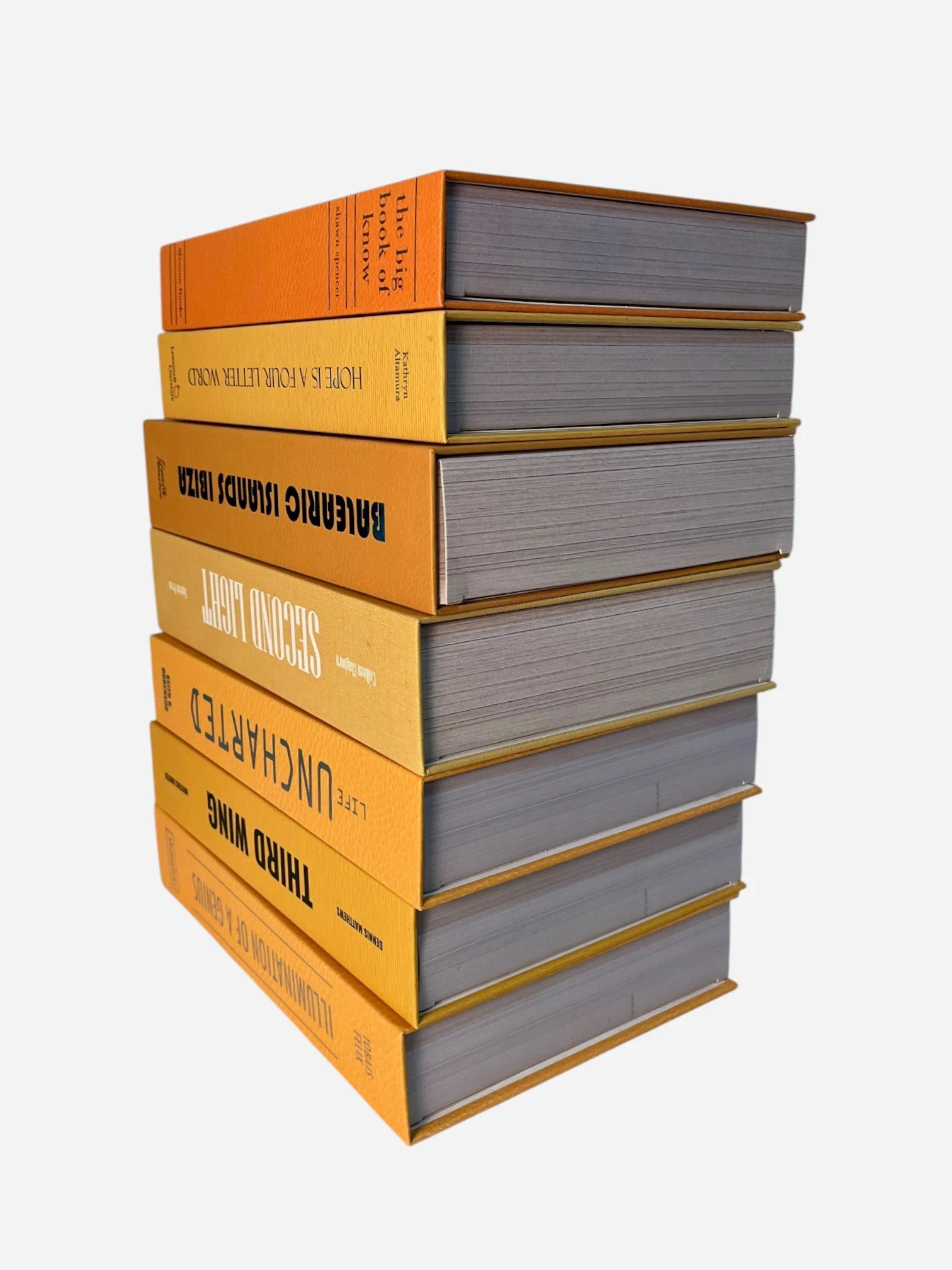 IMG_3853-Photoroom.jpg (Copy)