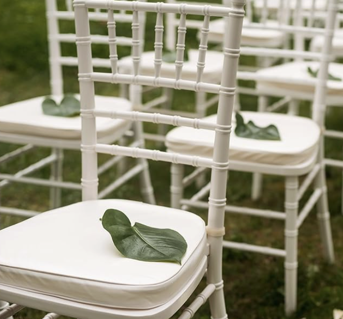 Screenshot 2026-02-20 at 3.49.58 PM.png