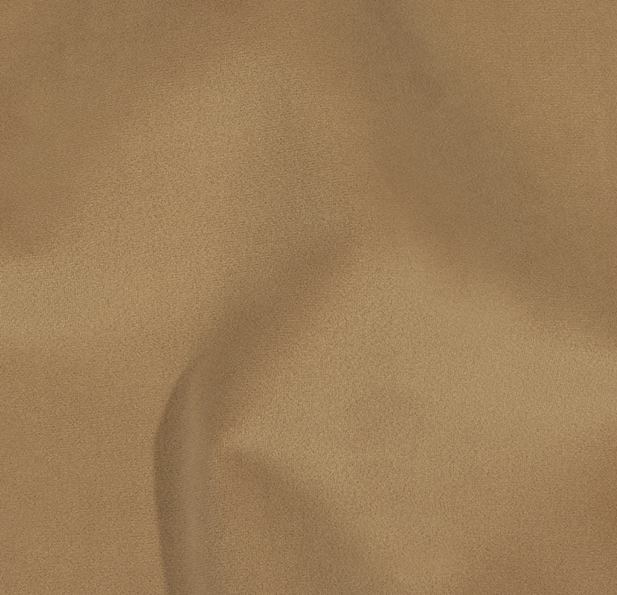Screenshot 2026-09-19 at 10.41.05 AM.png