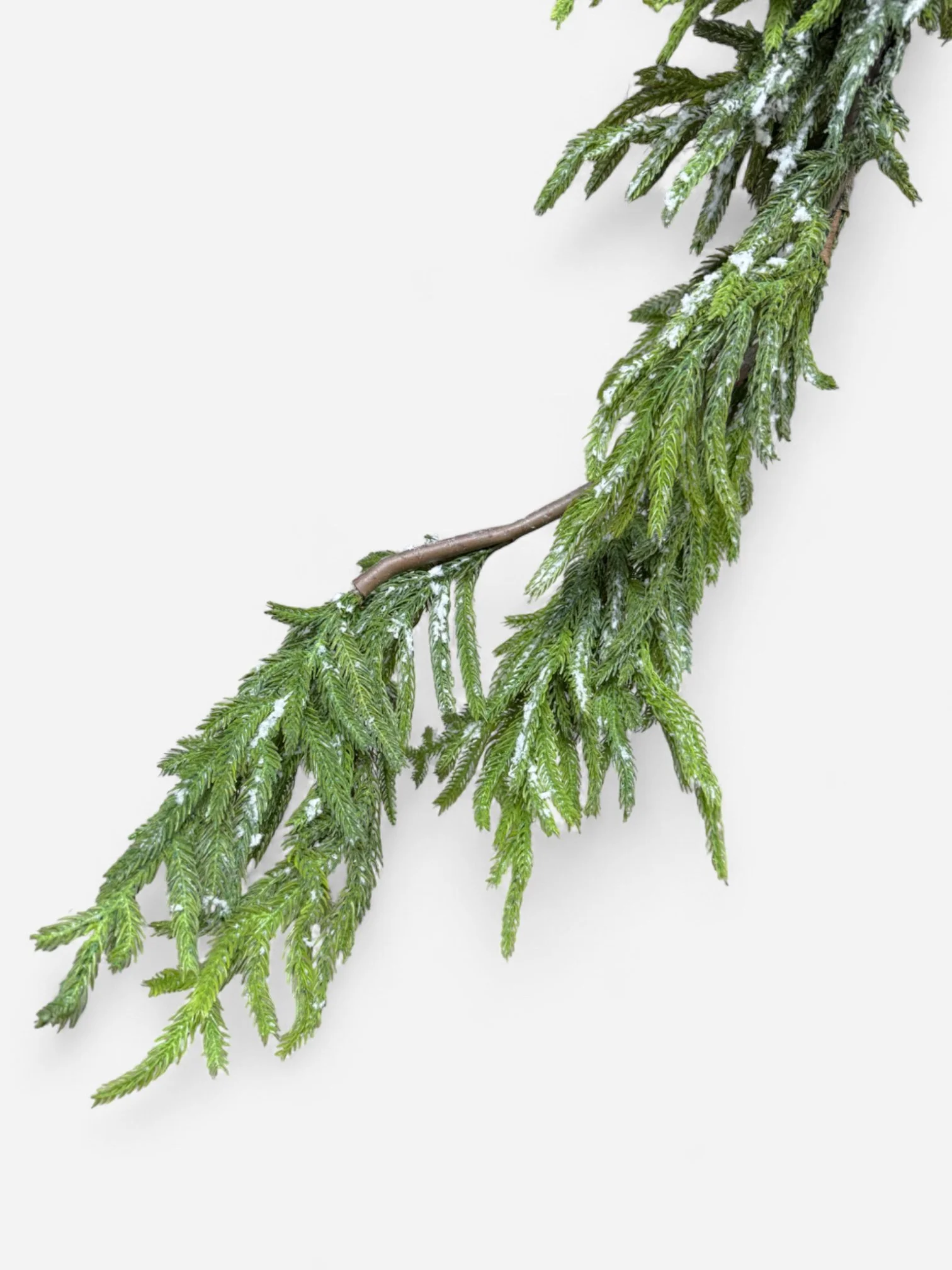 IMG_9976-Photoroom.jpg (Copy)