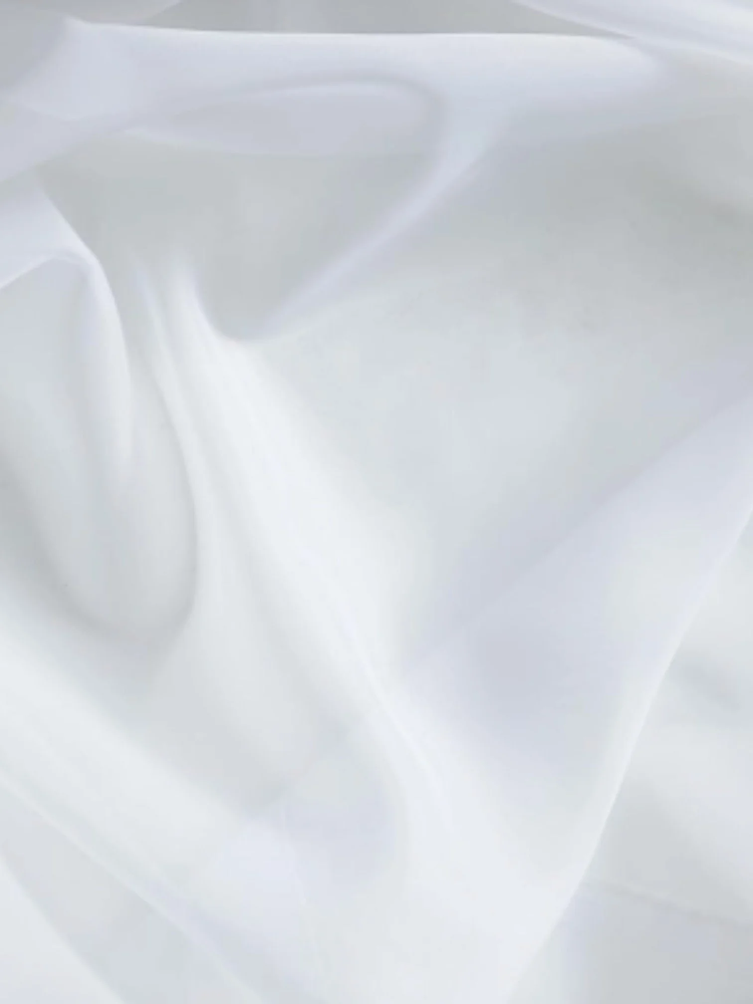 Screenshot 2026-03-03 at 5.09.39 PM-Photoroom.jpg (Copy) (Copy) (Copy) (Copy)