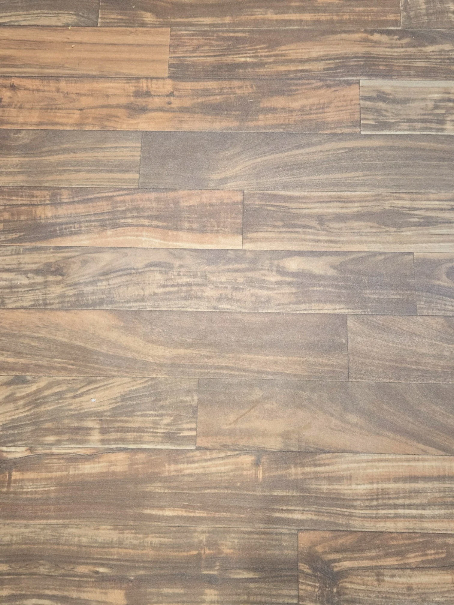 6089909587094748503.jpg (Copy)