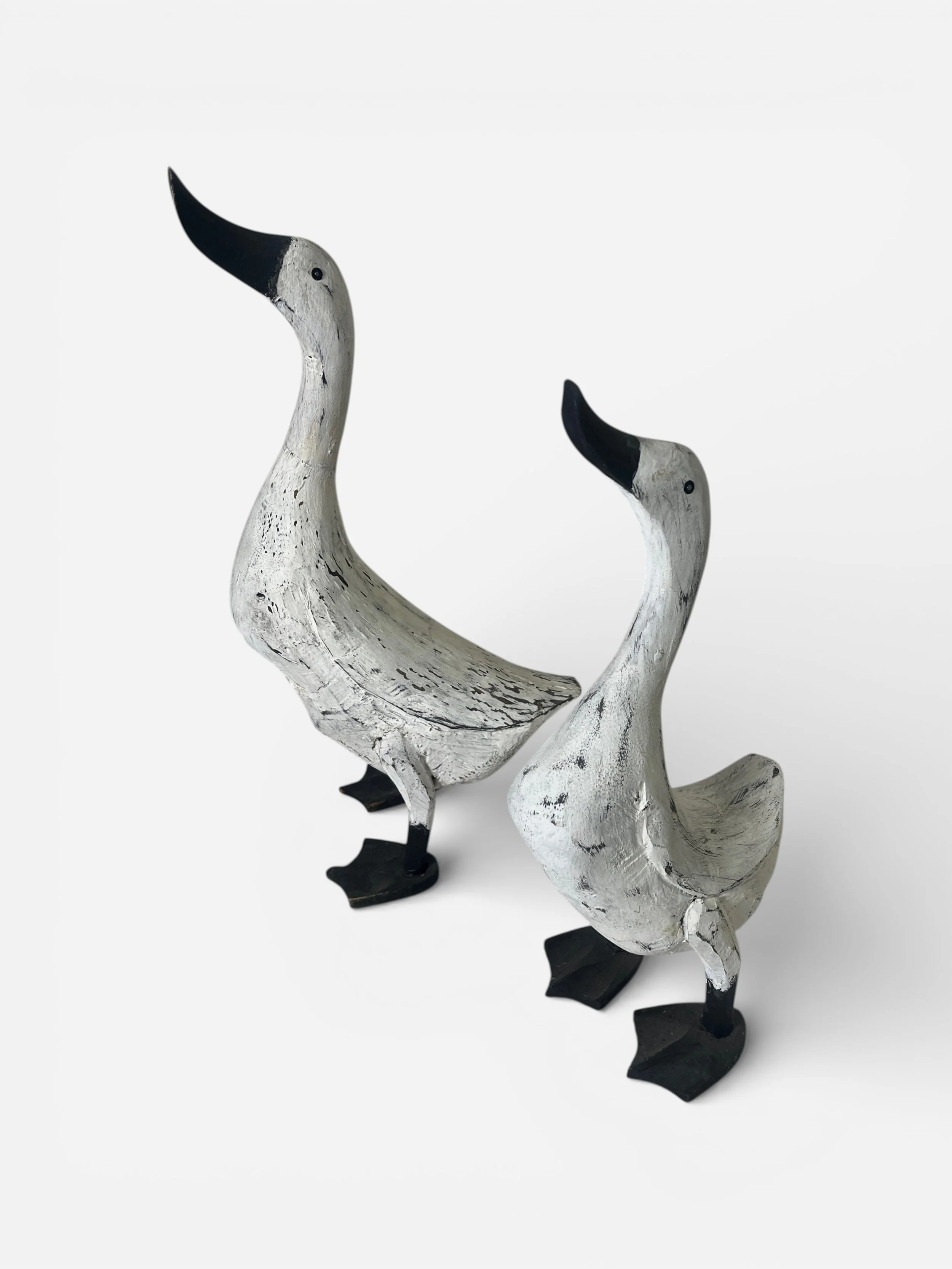 IMG_2505 (2)-Photoroom.jpg