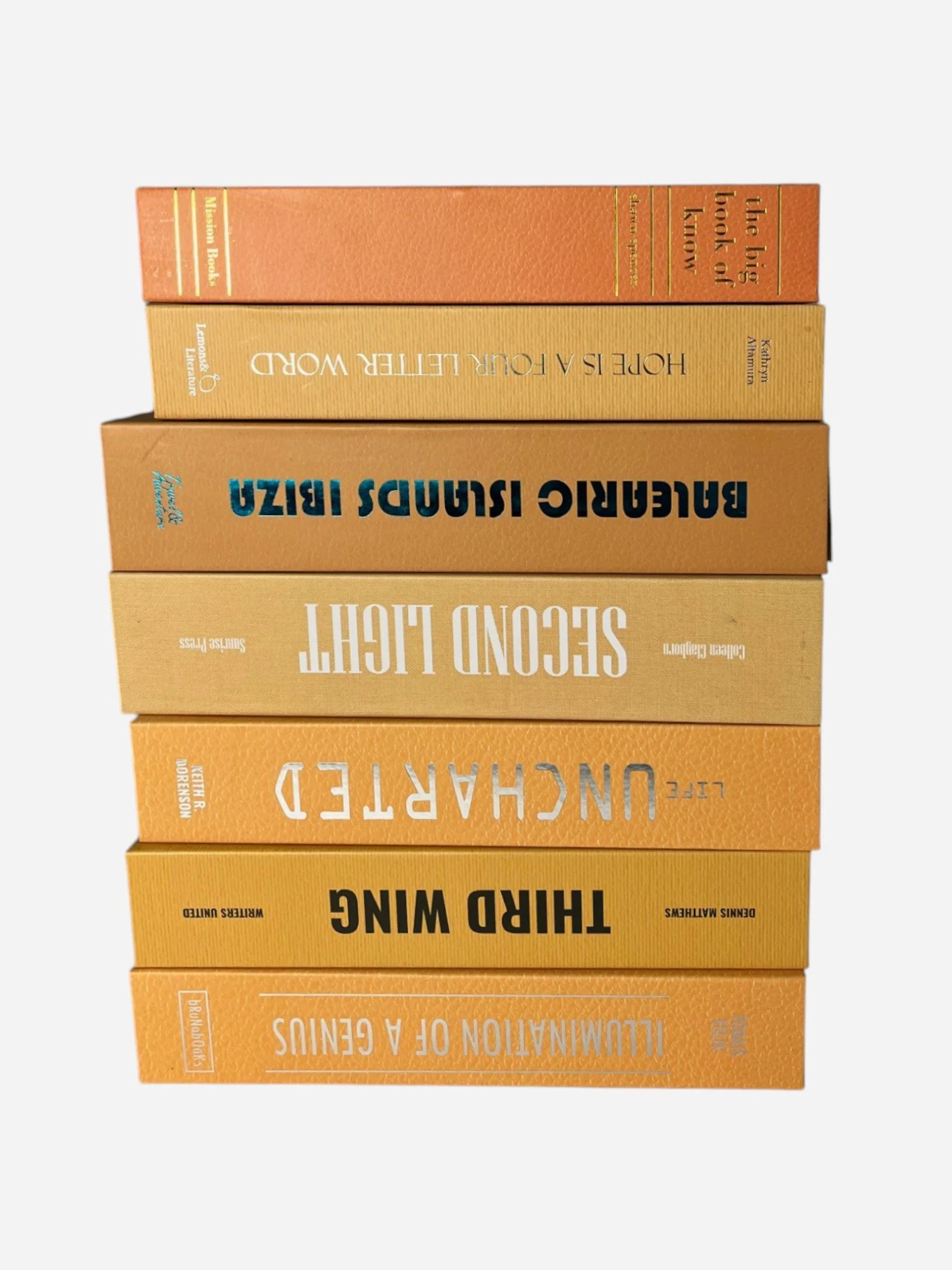 IMG_3851-Photoroom.jpg (Copy)