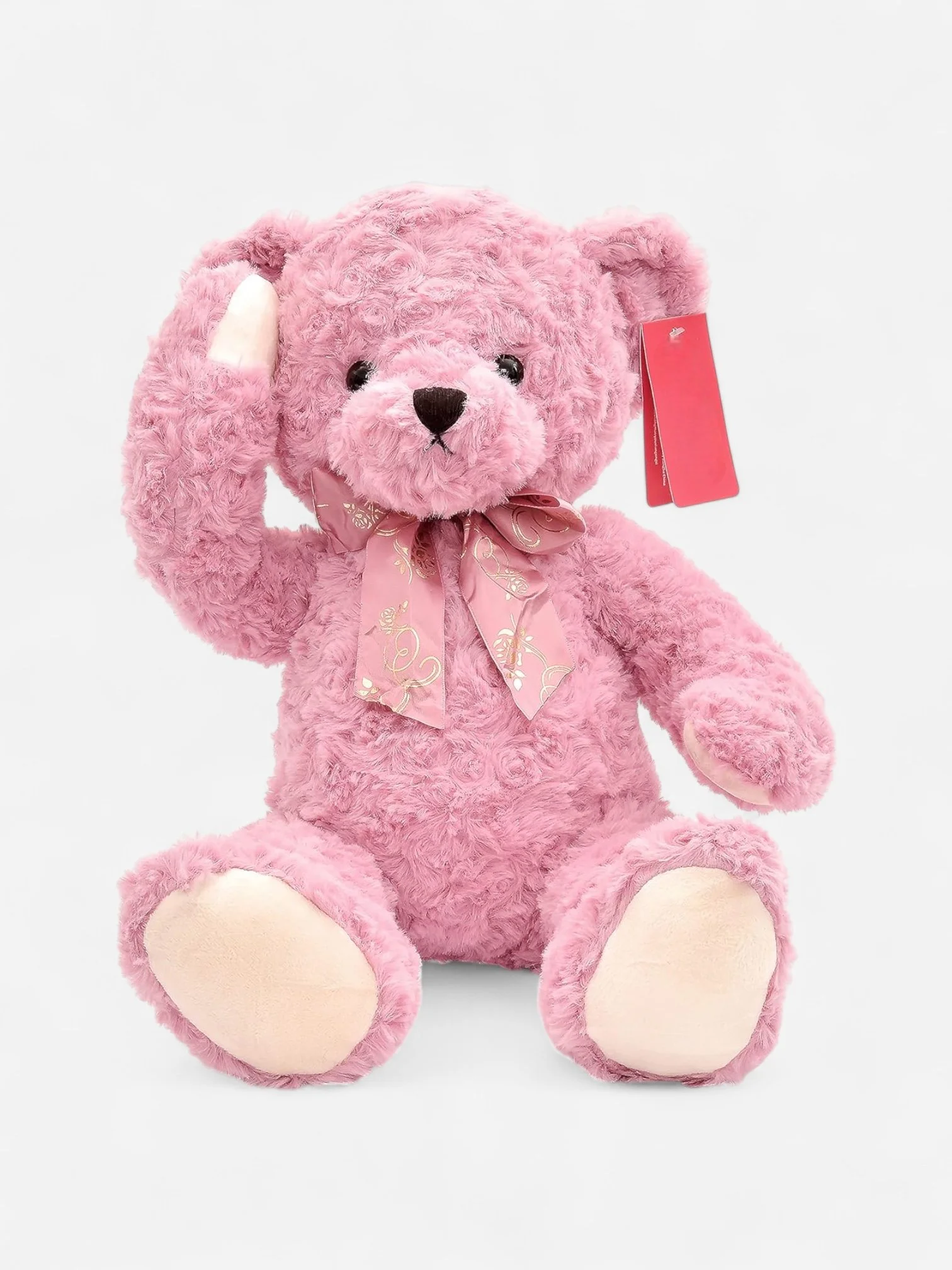 81KzO1Hzi1L._AC_SL1500_-Photoroom.jpg (Copy)