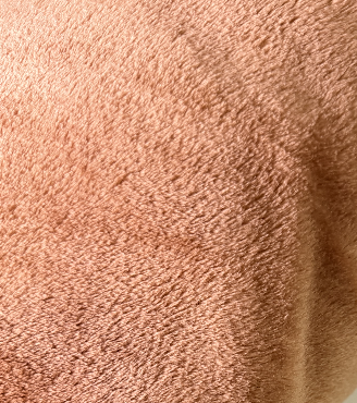 Screenshot 2026-01-30 at 1.24.01 PM.png