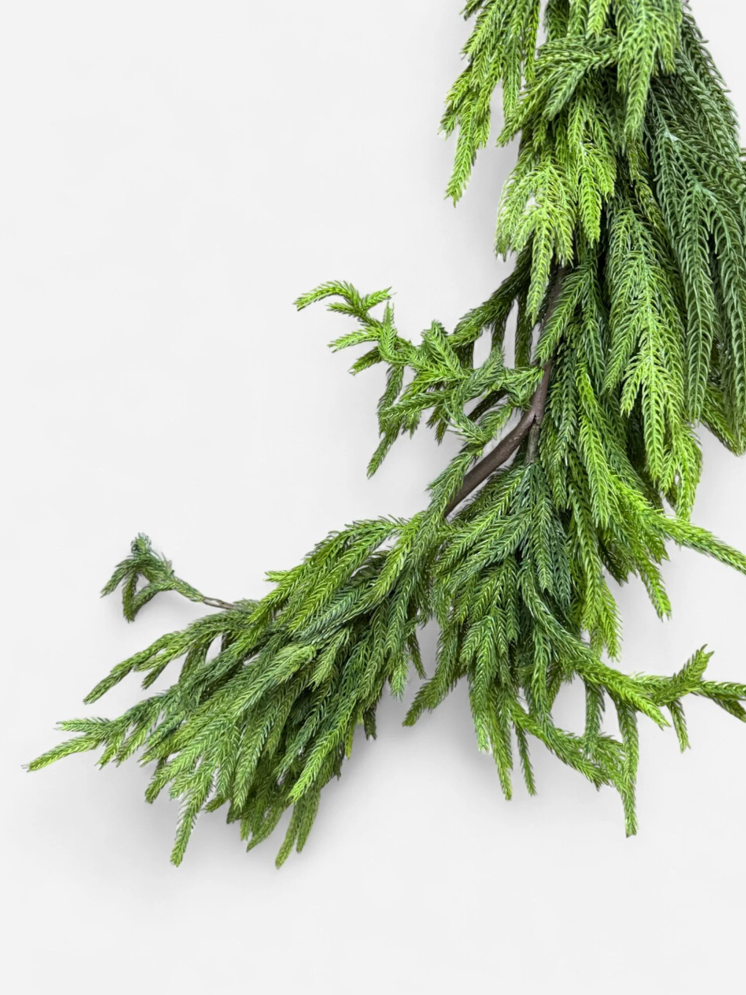 IMG_9973-Photoroom.jpg (Copy)