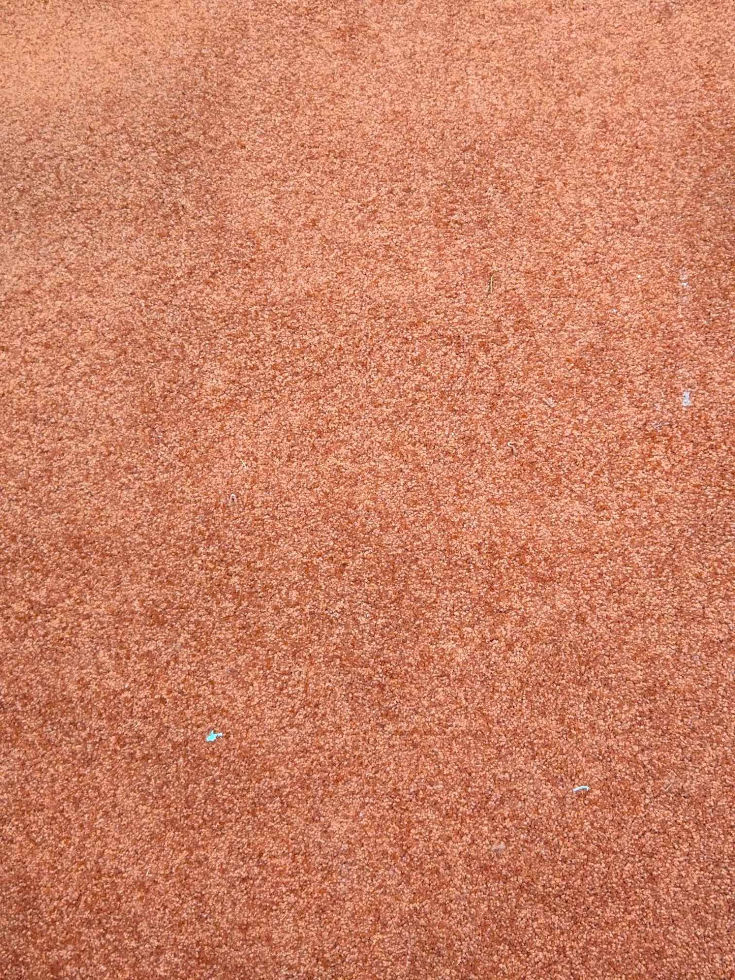 4074676291224878253-Photoroom.jpg (Copy)