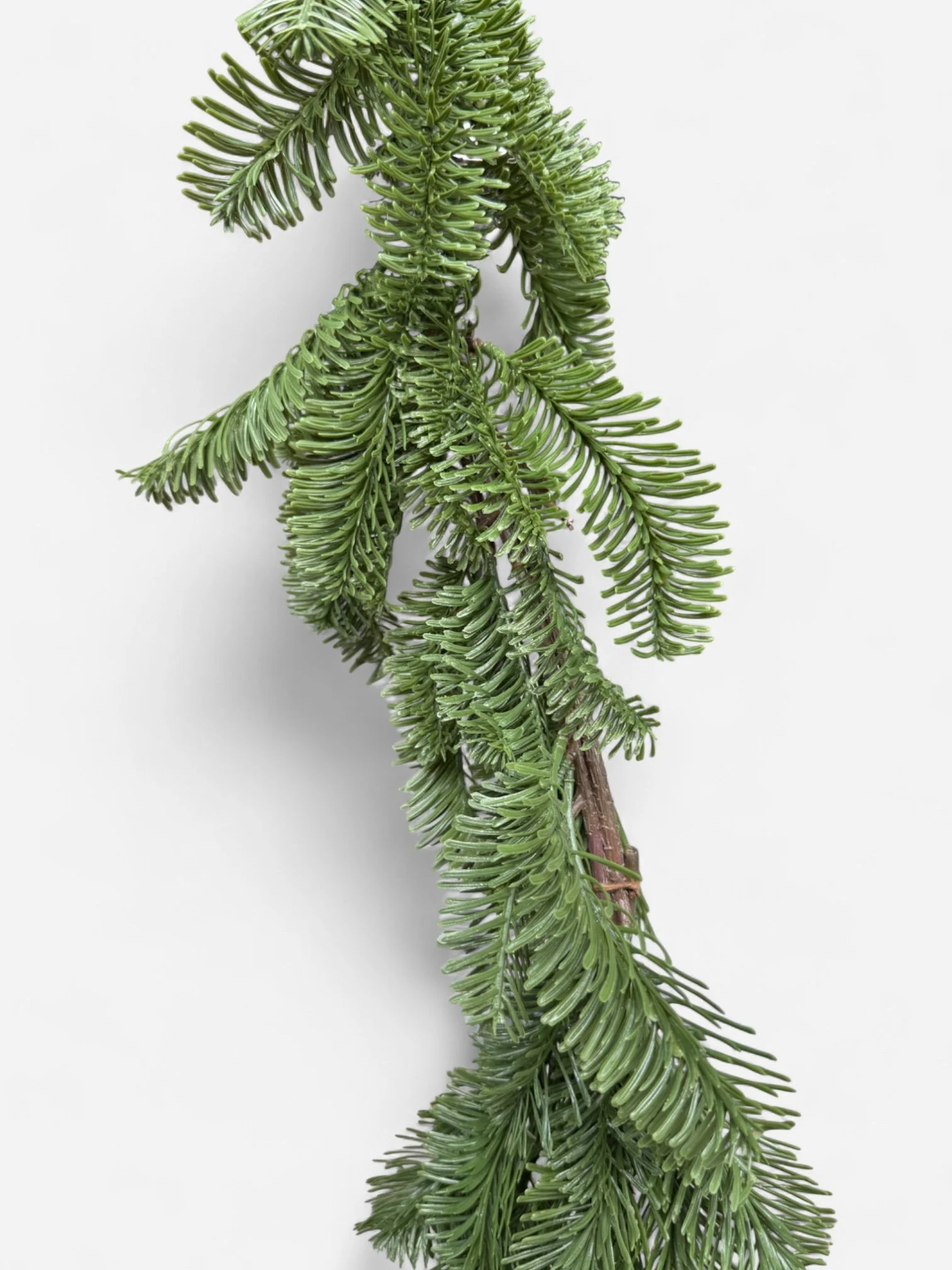 IMG_9984-Photoroom.jpg (Copy)